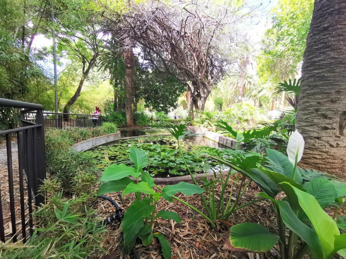 Home2Book Center Apartment Santa Cruz, Wifi Екстер'єр фото